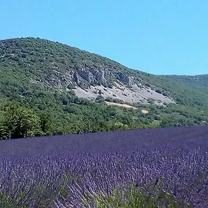 La Fleur D Olivier Vakantiehuis